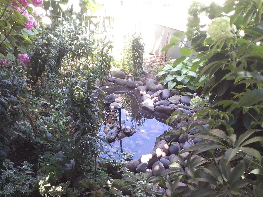 Guest House Krasi Chernomorets Luaran gambar