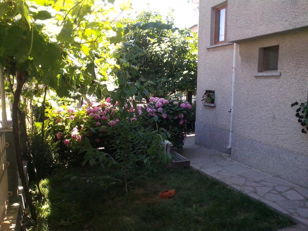 Guest House Krasi Chernomorets Luaran gambar